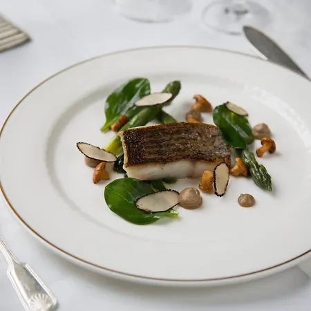 Hotel Middlethorpe Hall & 4*