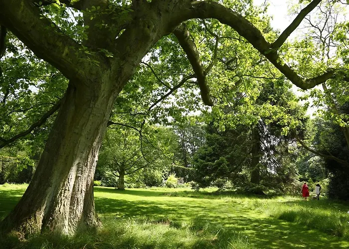 Middlethorpe Hall & 4* York