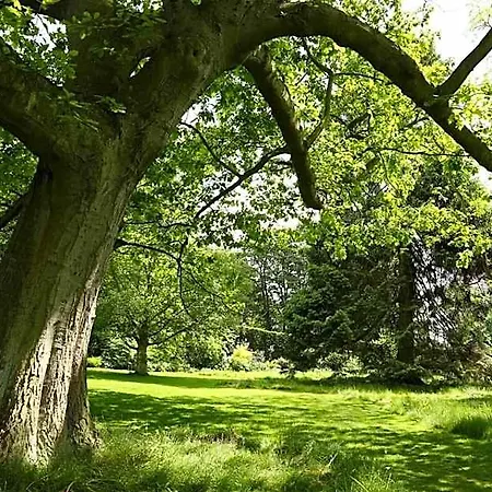 Hotel Middlethorpe Hall & 4*