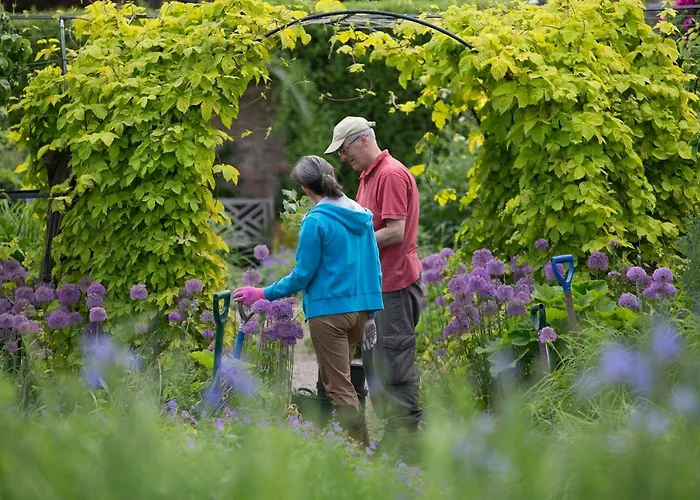 Middlethorpe Hall & Hotel