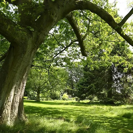 Middlethorpe Hall & 4* York